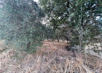 terreno - Building land Strada del Trebbio 2, Perugia - photo 10