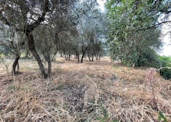 terreno - Building land Strada del Trebbio 2, Perugia - photo 11