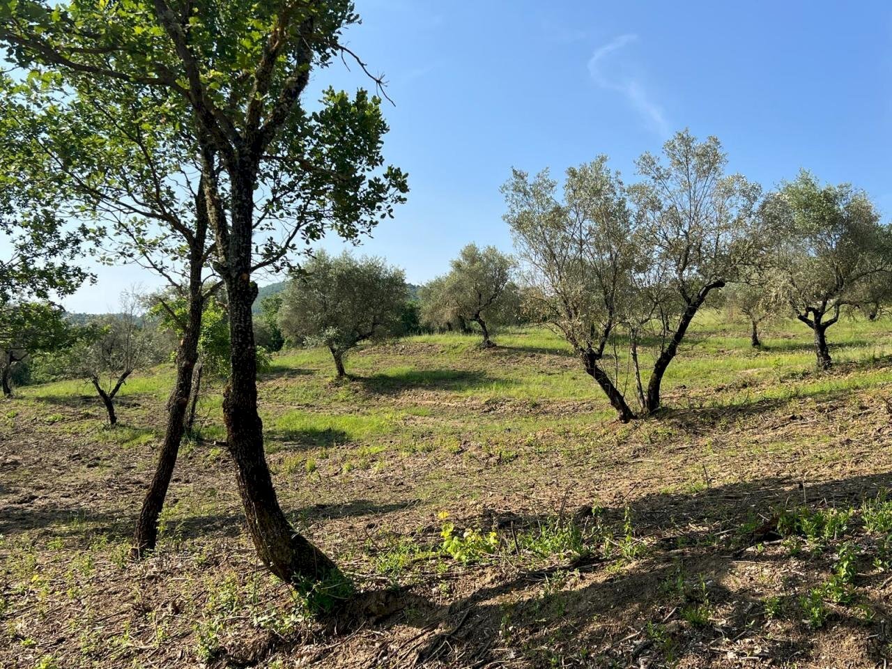 viste - Rustic Località Gaiche 6, Piegaro - photo 3