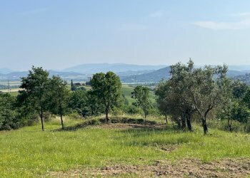 viste - Rustico Località Gaiche 6, Piegaro - foto 2