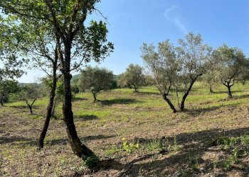 viste - Rustico Località Gaiche 6, Piegaro - foto 3