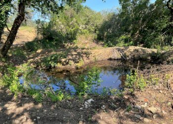 viste - Rustico Località Gaiche 6, Piegaro - foto 8