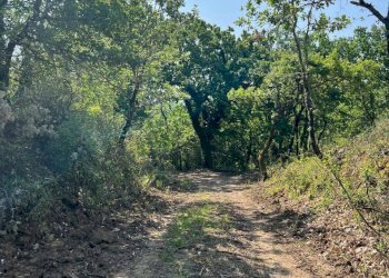 viste - Rustico Località Gaiche 6, Piegaro - foto 9