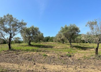 viste - Rustico Località Gaiche 6, Piegaro - foto 10