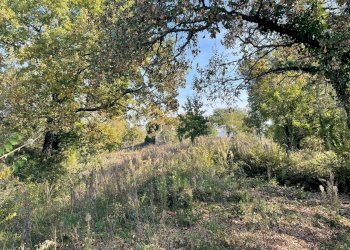 viste - Rustico Località Gaiche 6, Piegaro - foto 11