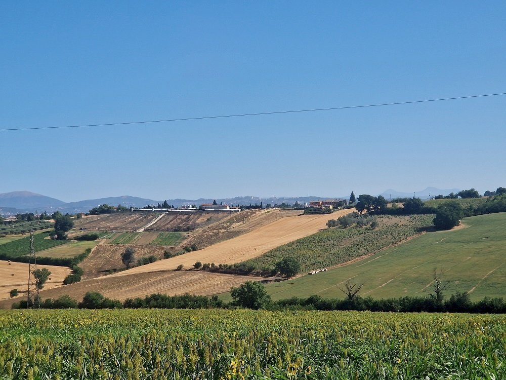 20250723_092913.jpg - Rustic Vocabolo Colle 15, Marsciano - photo 1