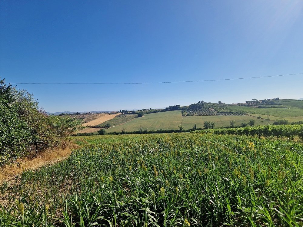 20250723_092546.jpg - Rustic Vocabolo Colle 15, Marsciano - photo 2