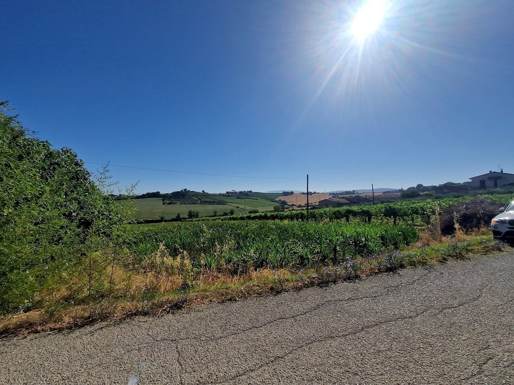 20250723_092606.jpg - Rustic Vocabolo Colle 15, Marsciano - photo 3