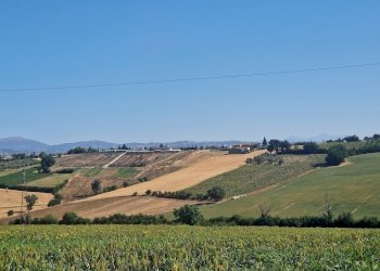 20250723_092913.jpg - Rustico Vocabolo Colle 15, Marsciano - foto 1