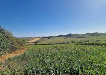 20250723_092546.jpg - Rustico Vocabolo Colle 15, Marsciano - foto 2