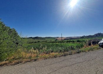 20250723_092606.jpg - Rustico Vocabolo Colle 15, Marsciano - foto 3