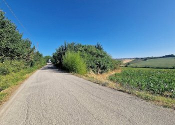 20250723_092621.jpg - Rustico Vocabolo Colle 15, Marsciano - foto 4