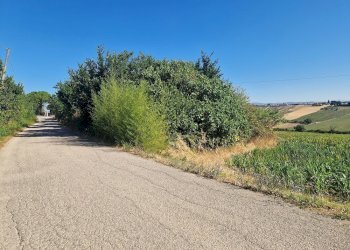 20250723_092626.jpg - Rustico Vocabolo Colle 15, Marsciano - foto 5