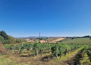 20250723_092826.jpg - Rustico Vocabolo Colle 15, Marsciano - foto 6