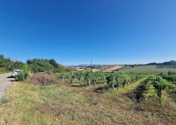 20250723_092830.jpg - Rustico Vocabolo Colle 15, Marsciano - foto 7