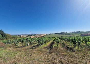 20250723_092833.jpg - Rustico Vocabolo Colle 15, Marsciano - foto 8