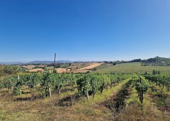 20250723_092840.jpg - Rustico Vocabolo Colle 15, Marsciano - foto 9