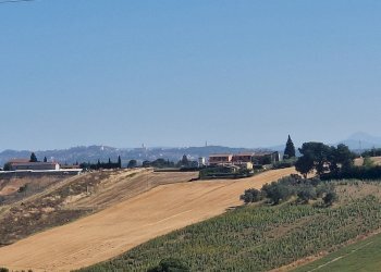 20250723_092955.jpg - Rustico Vocabolo Colle 15, Marsciano - foto 11