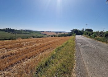 20250723_093150.jpg - Rustico Vocabolo Colle 15, Marsciano - foto 13