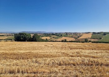 20250723_093157.jpg - Rustico Vocabolo Colle 15, Marsciano - foto 15