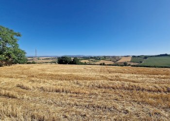 20250723_093211.jpg - Rustico Vocabolo Colle 15, Marsciano - foto 17