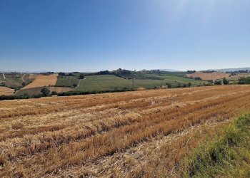 20250723_093230.jpg - Rustico Vocabolo Colle 15, Marsciano - foto 18