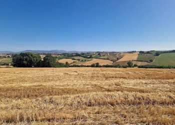 20250723_093254.jpg - Rustico Vocabolo Colle 15, Marsciano - foto 19