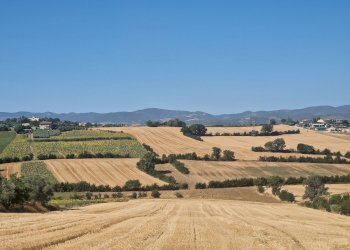 20250723_094047.jpg - Rustico Vocabolo Colle 15, Marsciano - foto 22