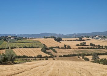 20250723_094049.jpg - Rustico Vocabolo Colle 15, Marsciano - foto 23