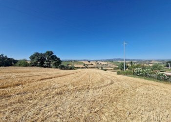 20250723_094111.jpg - Rustico Vocabolo Colle 15, Marsciano - foto 24