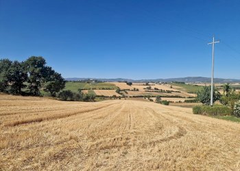 20250723_094116.jpg - Rustico Vocabolo Colle 15, Marsciano - foto 26