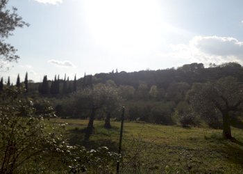 20250410_174055.jpg - Terreno edificabile Via le Macce snc, Passignano sul Trasimeno - foto 11