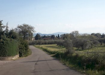 20250410_174105.jpg - Terreno edificabile Via le Macce snc, Passignano sul Trasimeno - foto 6