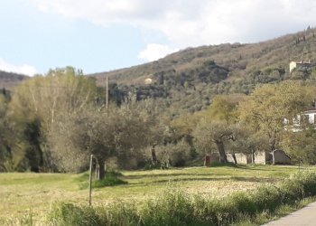 20250410_173853.jpg - Terreno edificabile Via le Macce snc, Passignano sul Trasimeno - foto 13