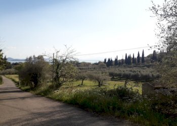 20250410_173947.jpg - Terreno edificabile Via le Macce snc, Passignano sul Trasimeno - foto 14