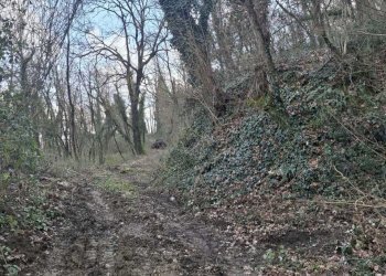 dettagli - Casale Via della vecchia fornace 7, Perugia - foto 12
