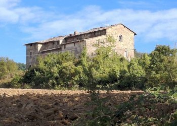 IMG-20241104-WA0096.jpg - Rustico Località Colle del Sole 70, Perugia - foto 1