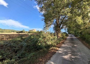 IMG-20241104-WA0093.jpg - Rustico Località Colle del Sole 70, Perugia - foto 2