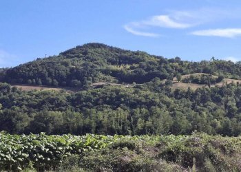 IMG-20241104-WA0104.jpg - Rustico Località Colle del Sole 70, Perugia - foto 6