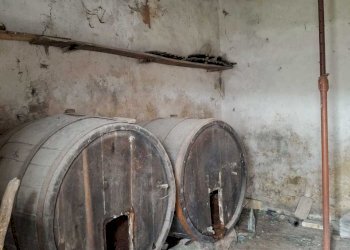 IMG-20250212-WA0105.jpg - Rustico Località Colle del Sole 70, Perugia - foto 28