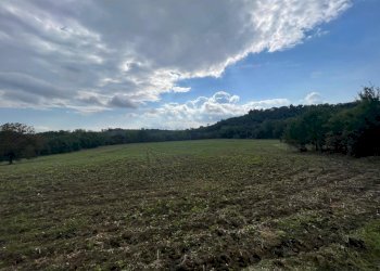 1.jpg - Terreno edificabile Via della Madonnuccia 8, Marsciano - foto 3