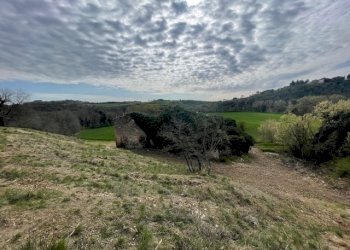 IMG_3363.jpg - Terreno edificabile Via della Madonnuccia 8, Marsciano - foto 8