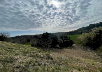 IMG_3365.jpg - Terreno edificabile Via della Madonnuccia 8, Marsciano - foto 10