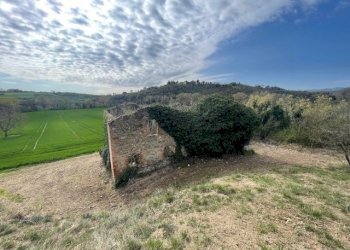 IMG_3368.jpg - Terreno edificabile Via della Madonnuccia 8, Marsciano - foto 13