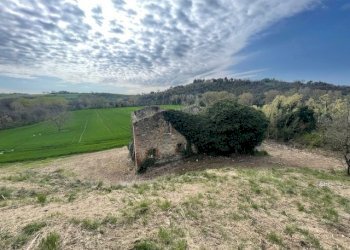 IMG_3369.jpg - Terreno edificabile Via della Madonnuccia 8, Marsciano - foto 14