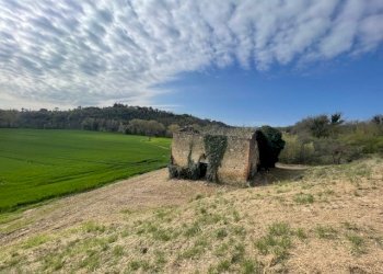IMG_3371.jpg - Terreno edificabile Via della Madonnuccia 8, Marsciano - foto 16