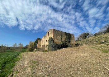IMG_3374.jpg - Terreno edificabile Via della Madonnuccia 8, Marsciano - foto 19