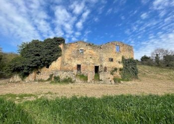 IMG_3379.jpg - Terreno edificabile Via della Madonnuccia 8, Marsciano - foto 22