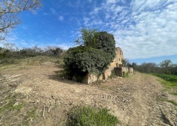 IMG_3381.jpg - Terreno edificabile Via della Madonnuccia 8, Marsciano - foto 23