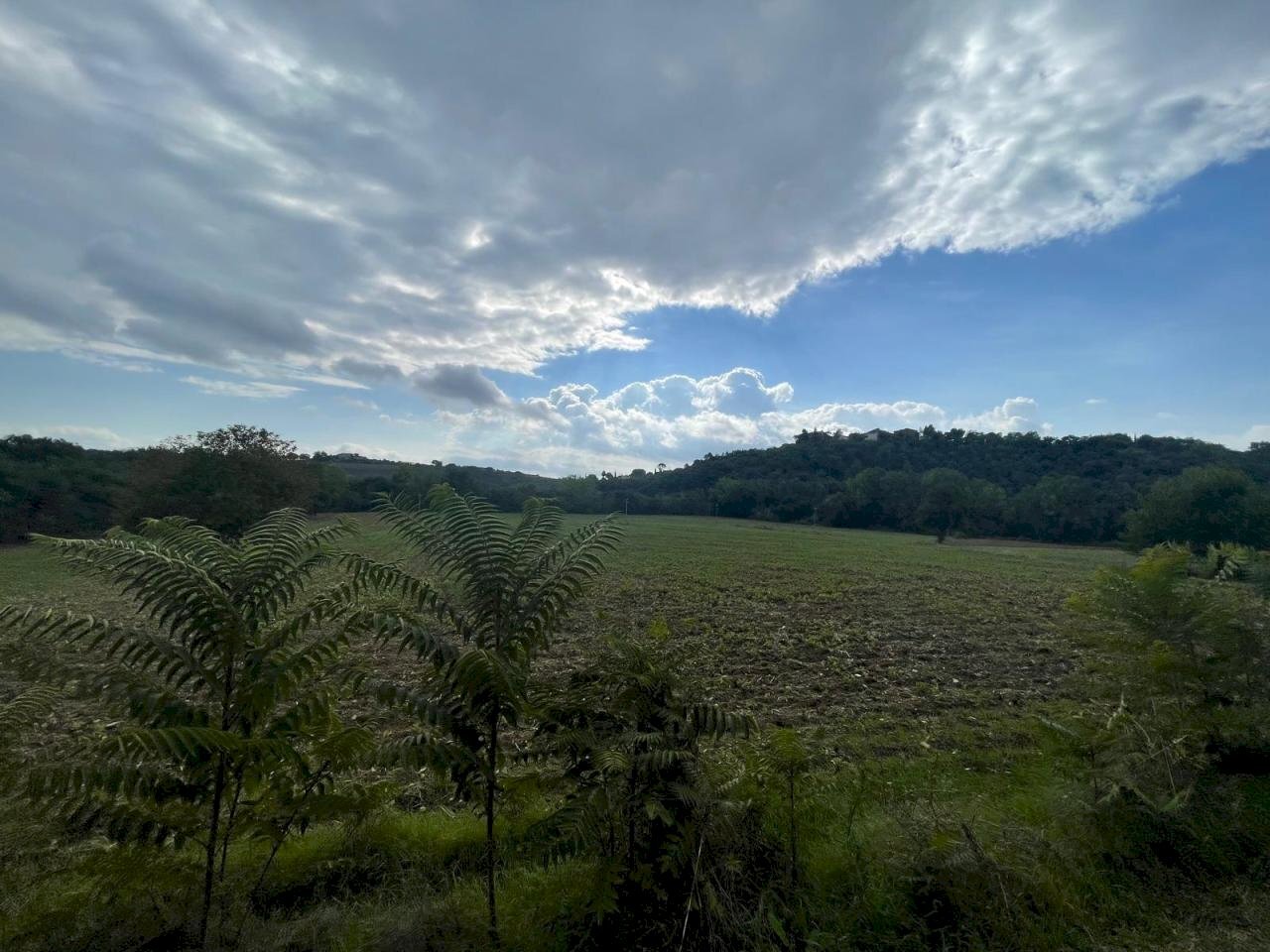 3.jpg - Casale Via della Madonnuccia 8, Marsciano - foto 2